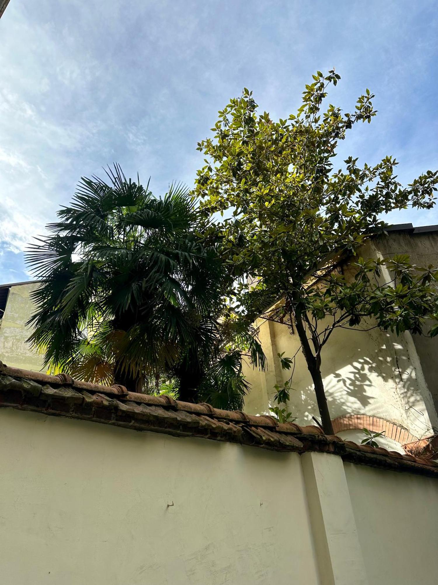 Lr Deluxe Apartments - Porta Venezia - Bilocale Con Giardino Privato Milaan Buitenkant foto