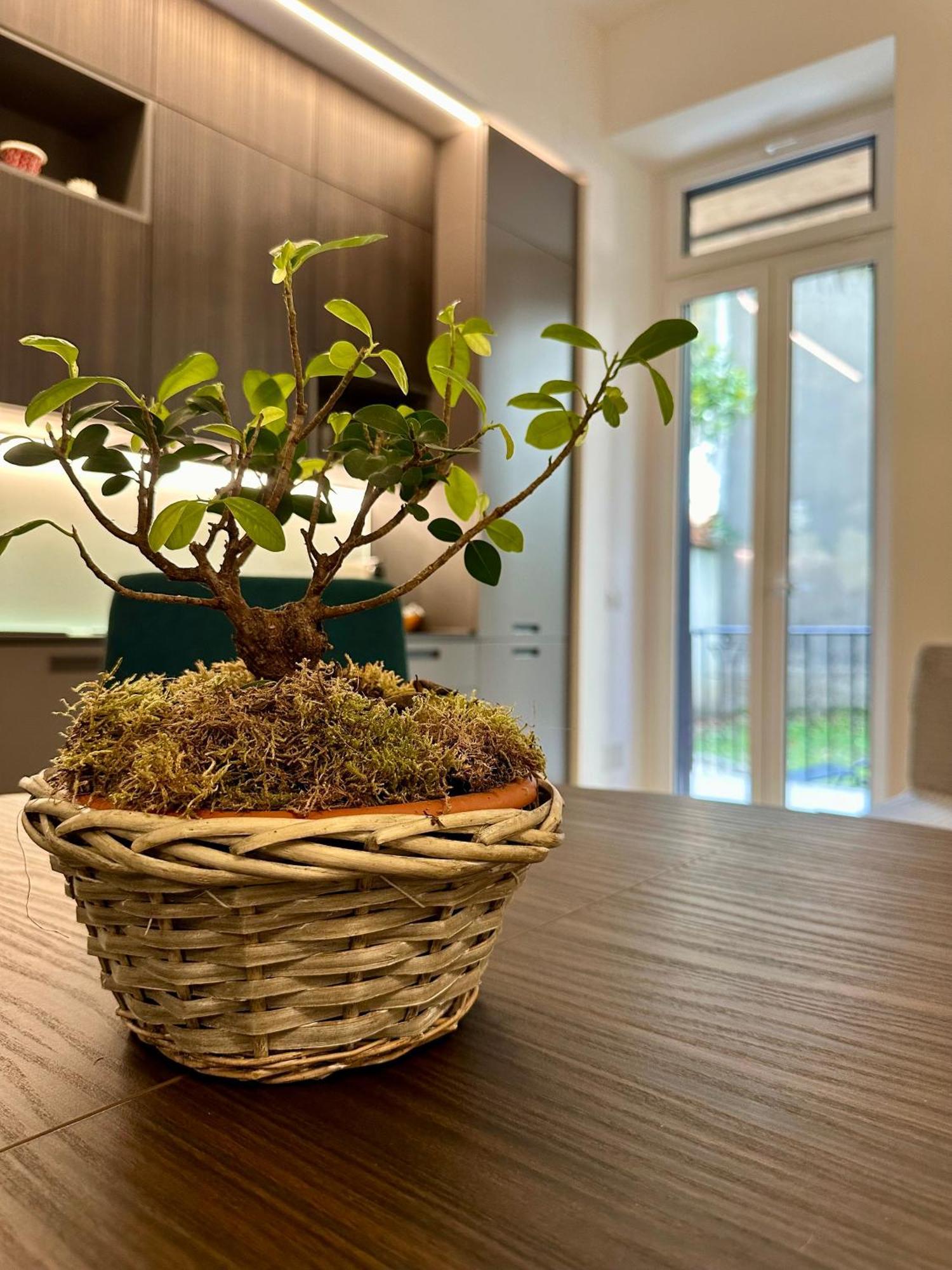 Lr Deluxe Apartments - Porta Venezia - Bilocale Con Giardino Privato Milaan Buitenkant foto